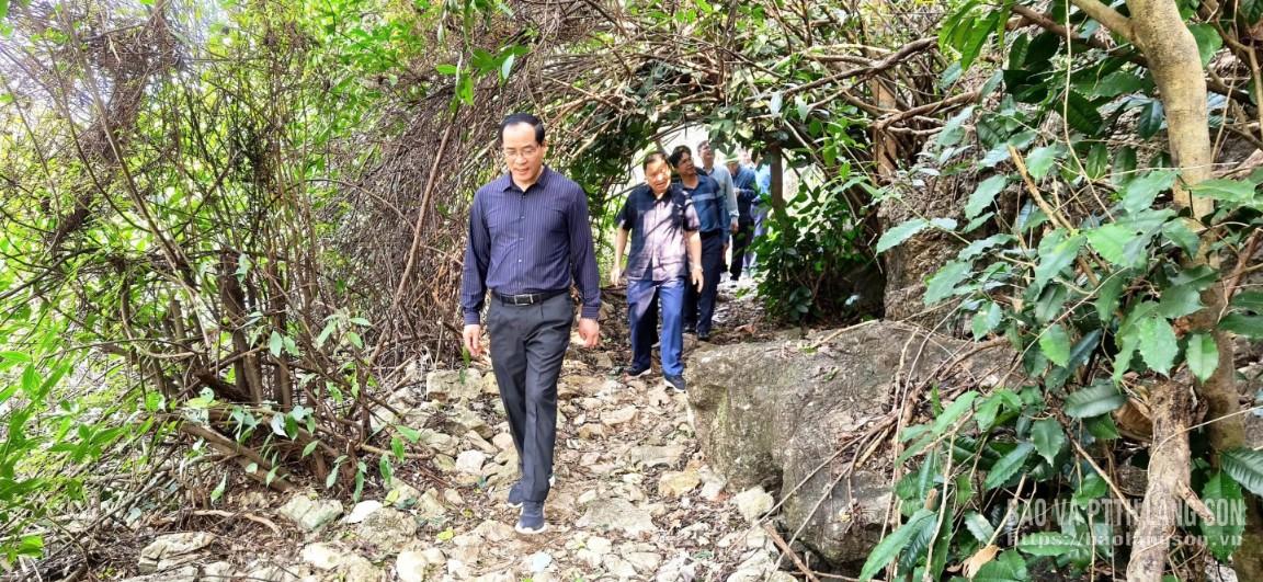 Đoàn công tác khảo sát tại đoạn tuyến có mặt đường nhỏ hẹp, cây cối rậm rạp che khuất tầm nhìn