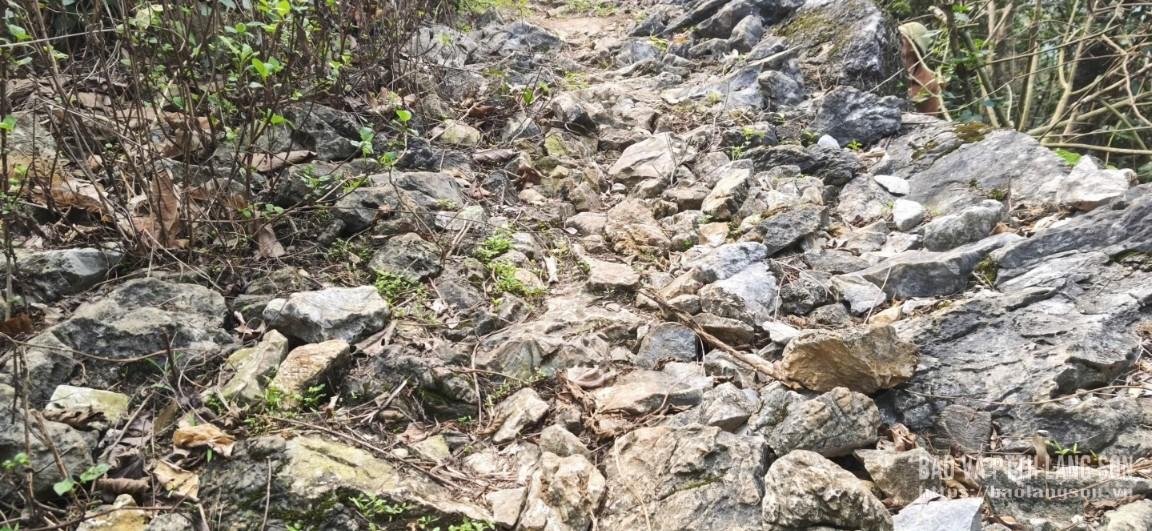 Hiện trạng mặt đường chủ yếu là nền đất đá, gồ ghề, gây khó khăn cho việc đi lại và giao thương của người dân địa phương